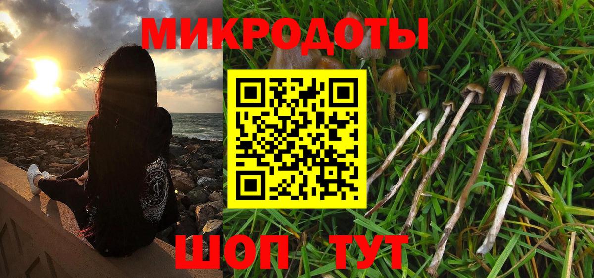 Псилоцибиновые грибы MAGIC MUSHROOMS Сафоново