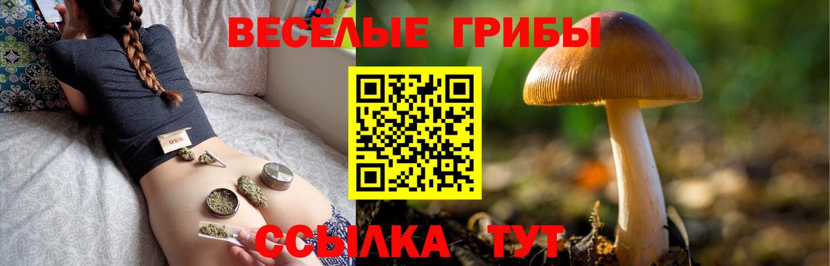 сколько стоит  Галлюциногенные грибы Cubensis  Сафоново  Вход с VPN  Псилоцибиновые грибы прущие грибы 